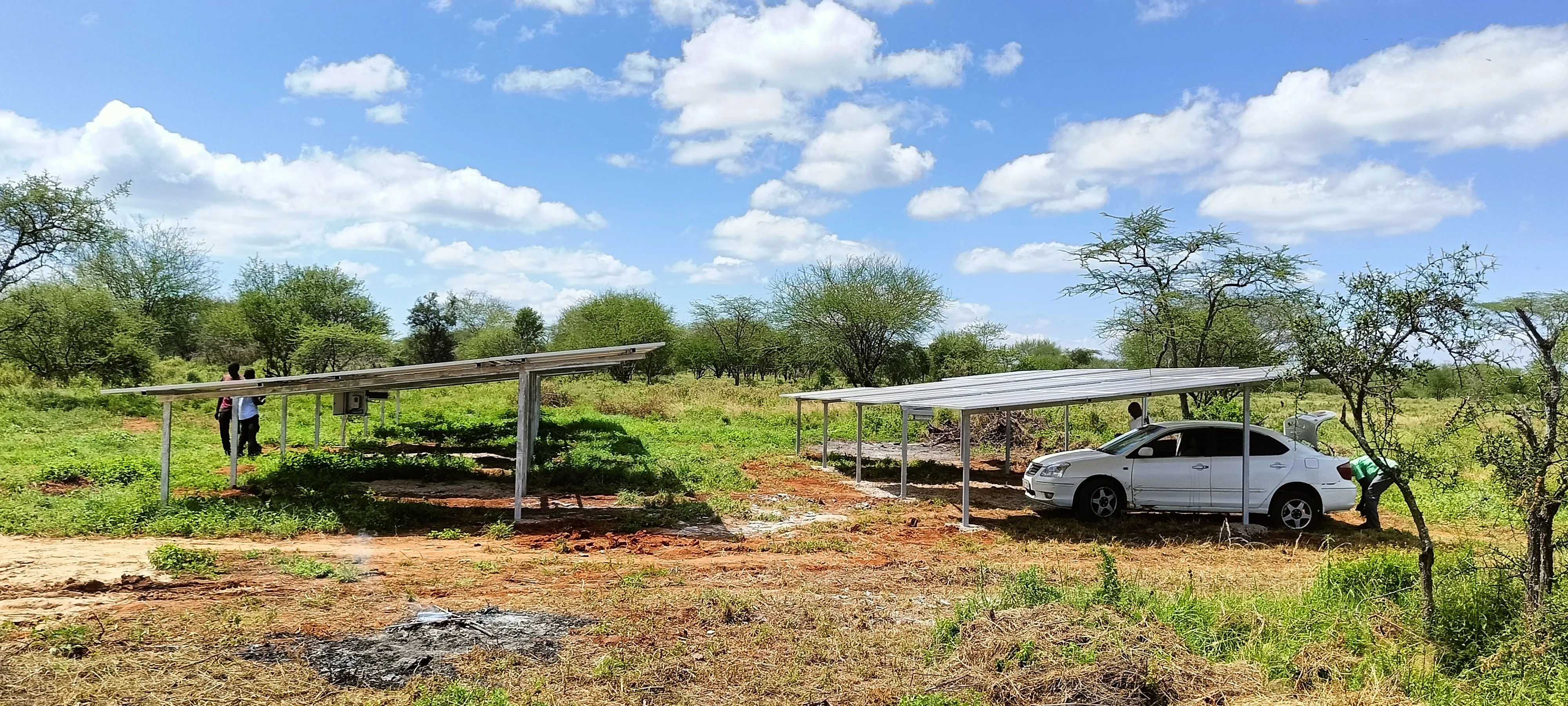 wide view of solar panels in a field
